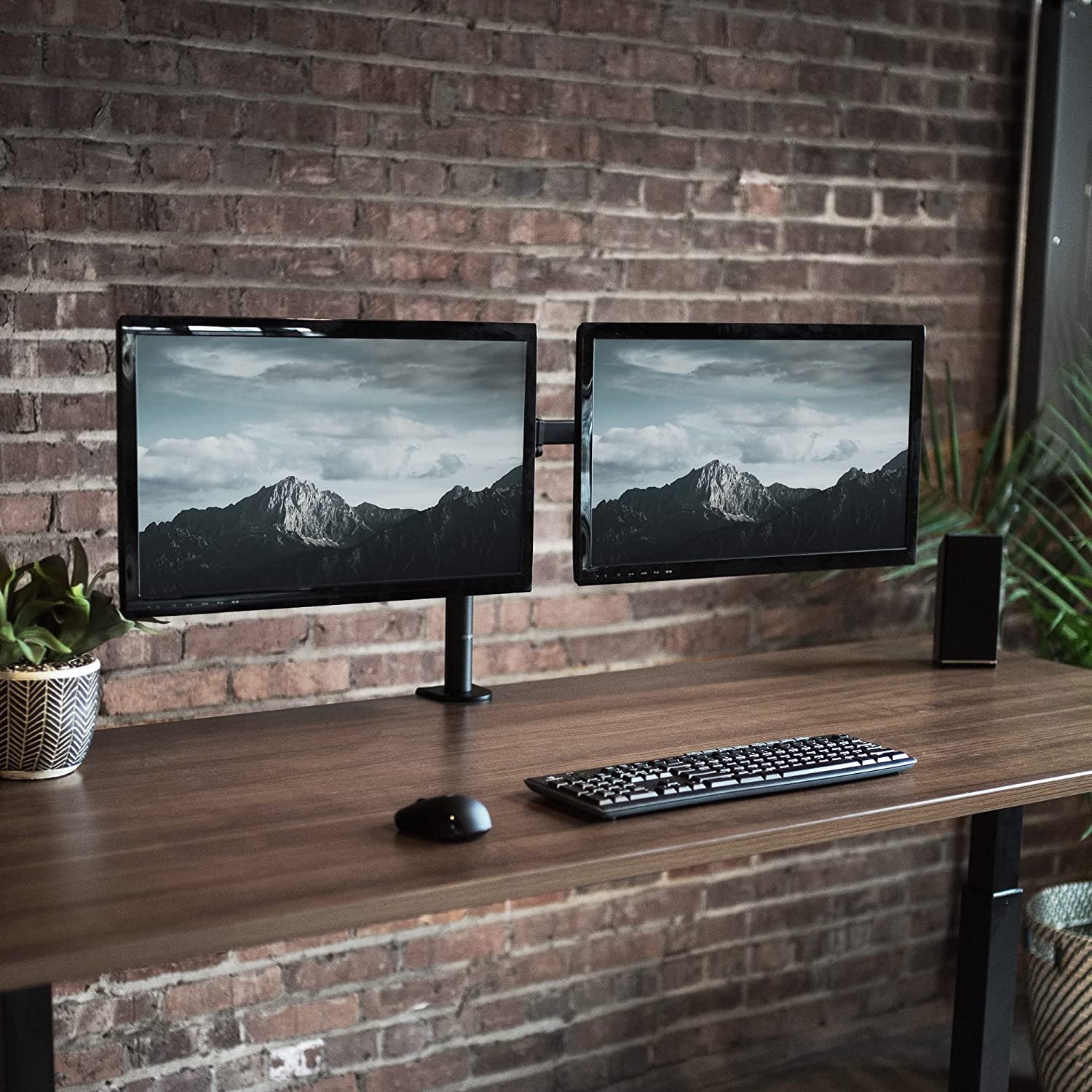 vivo best reviewed dual monitor arm mount
