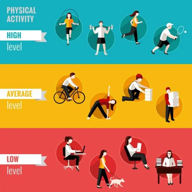 what is a sedentary lifestyle