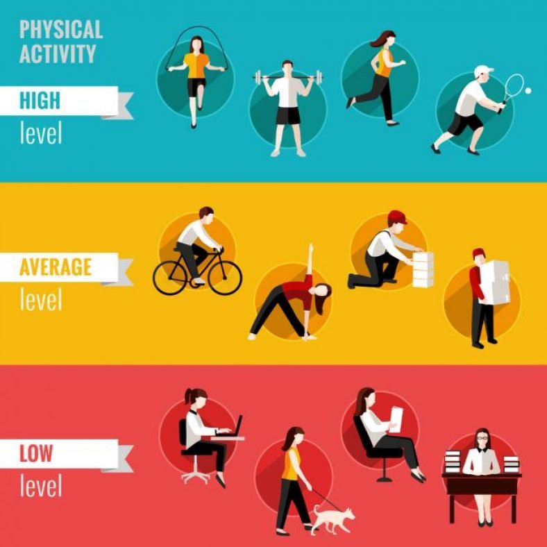 Sedentary Lifestyle Health Risks and Concerns